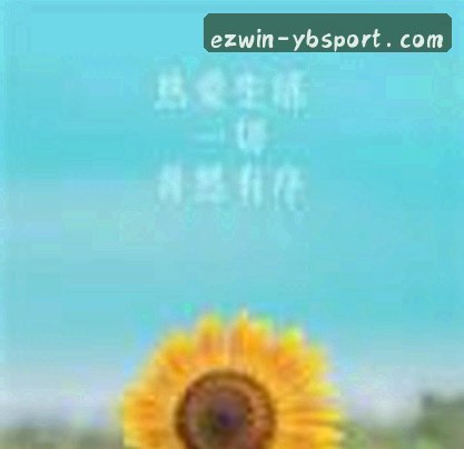 赵敏